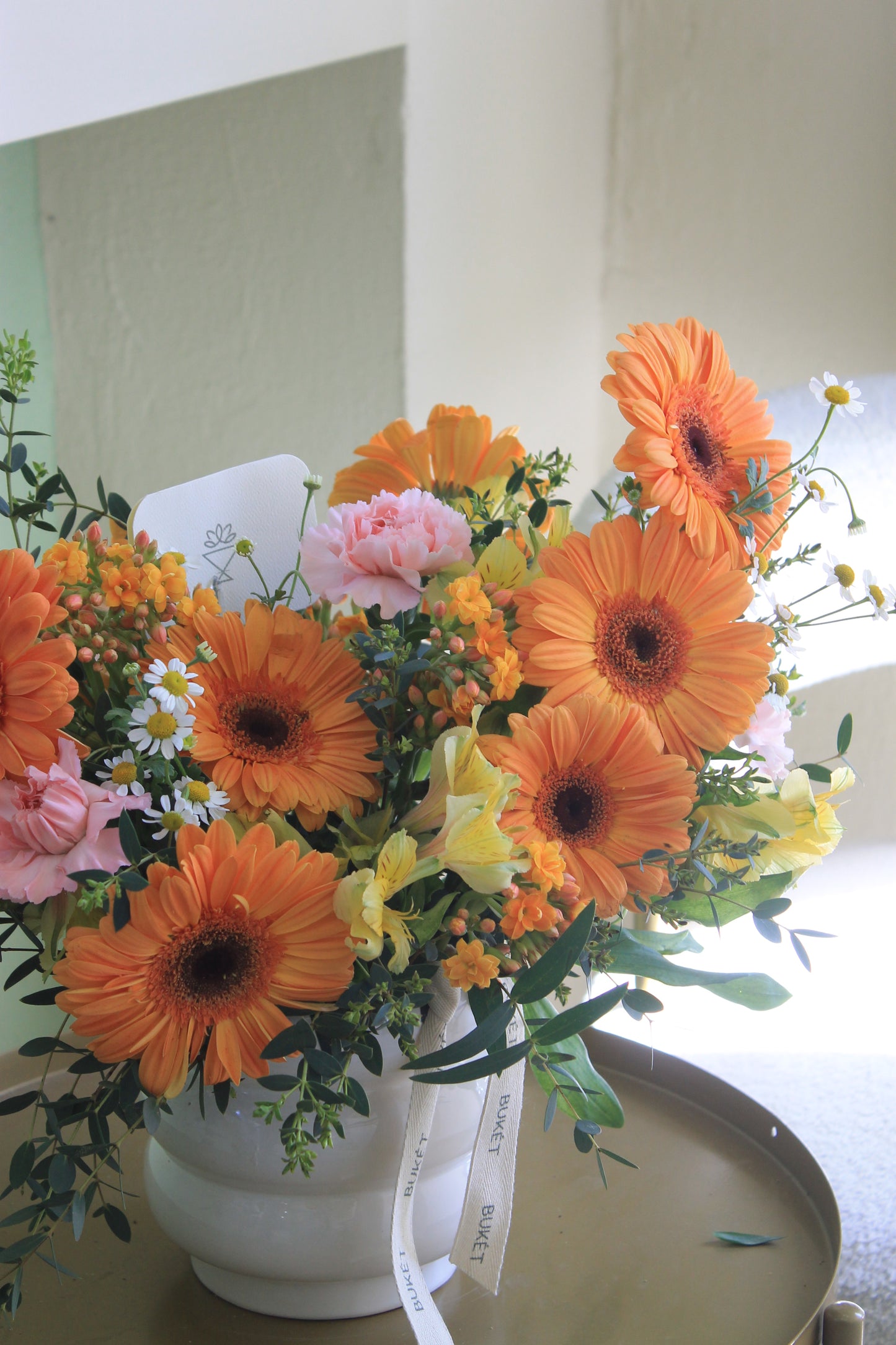 Jardín de gerberas