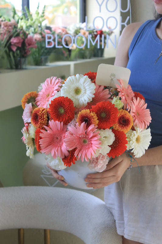 Gerbera bomb