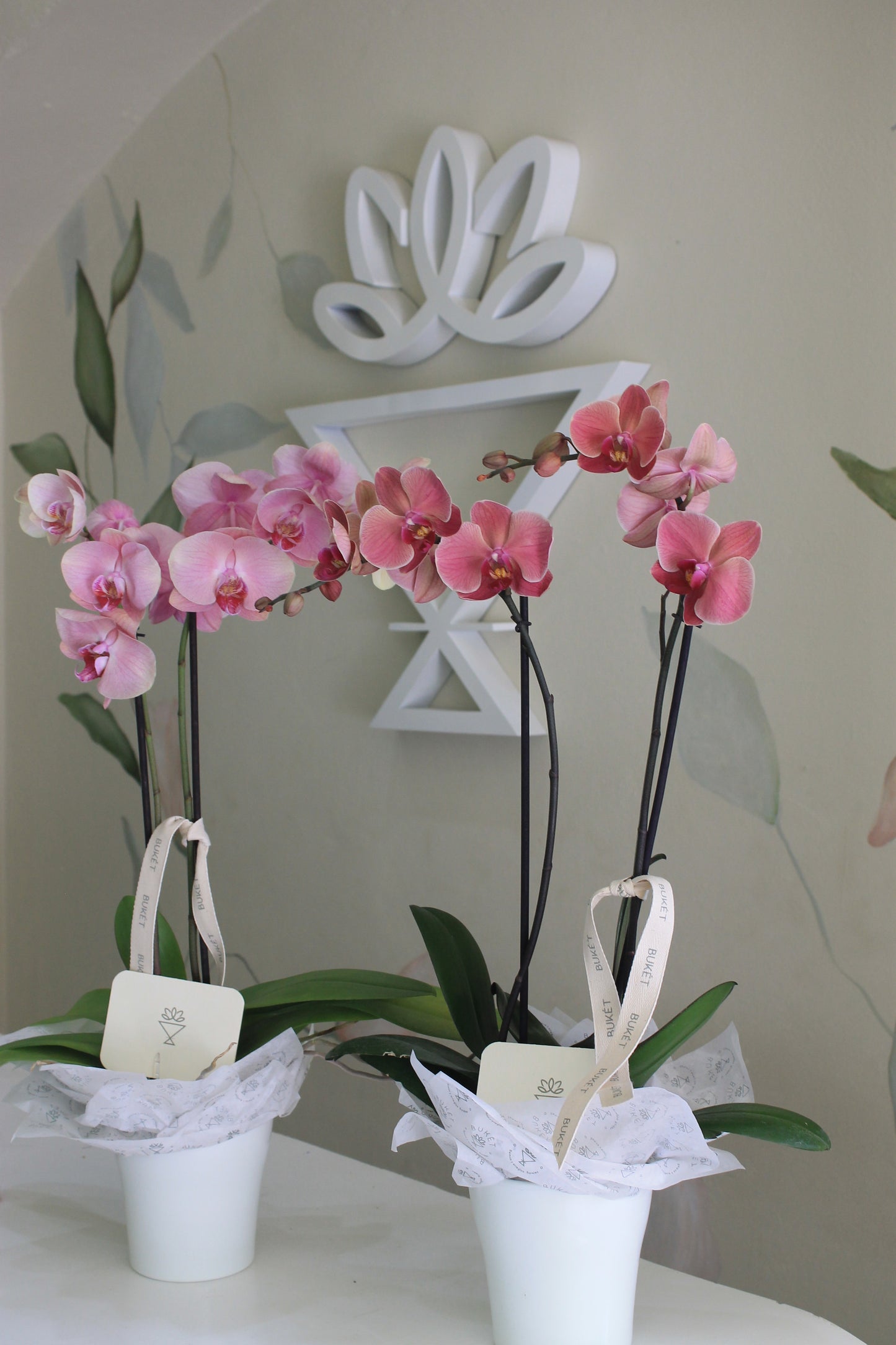Orquídea individual
