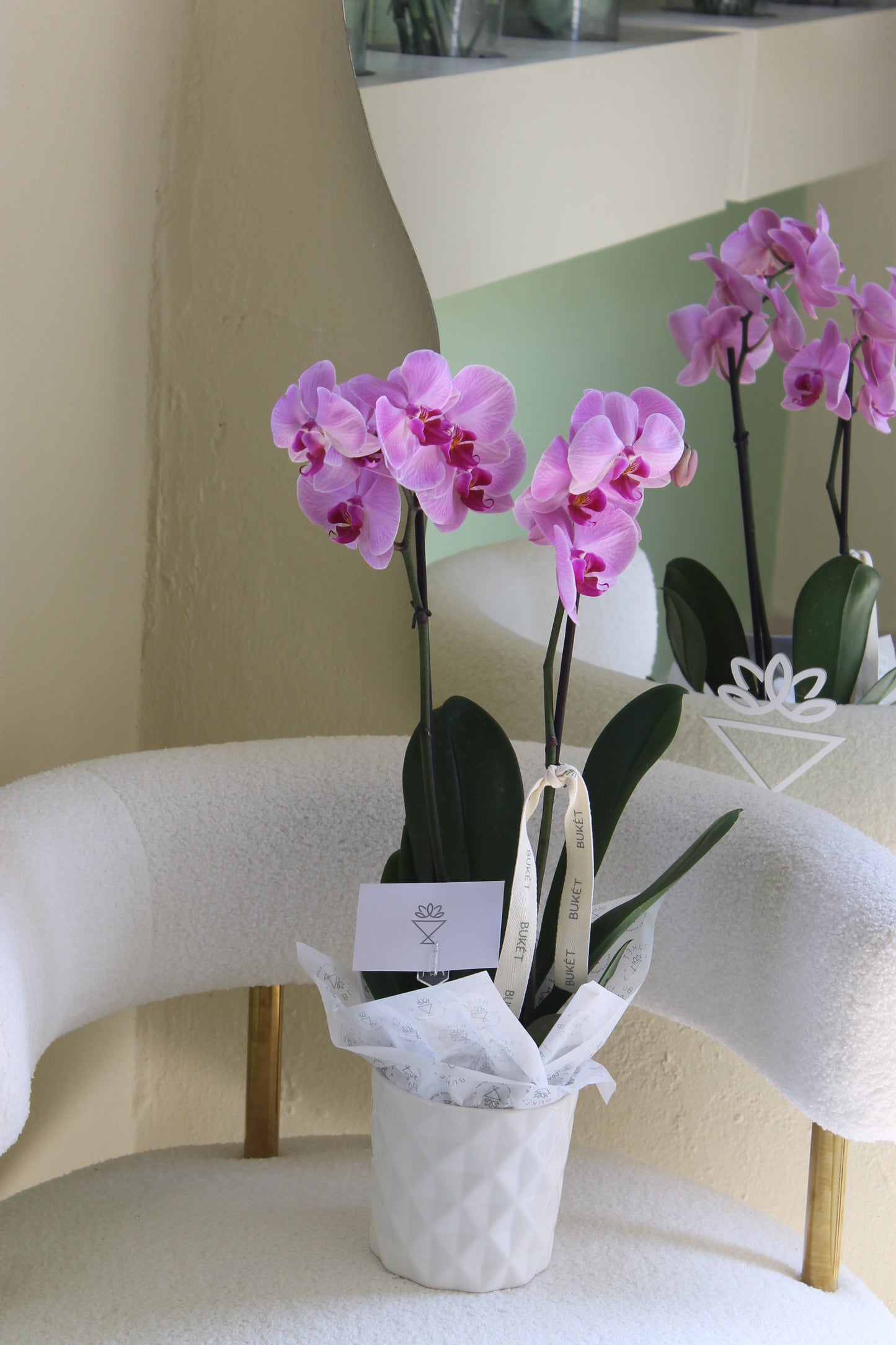 Orquídea individual