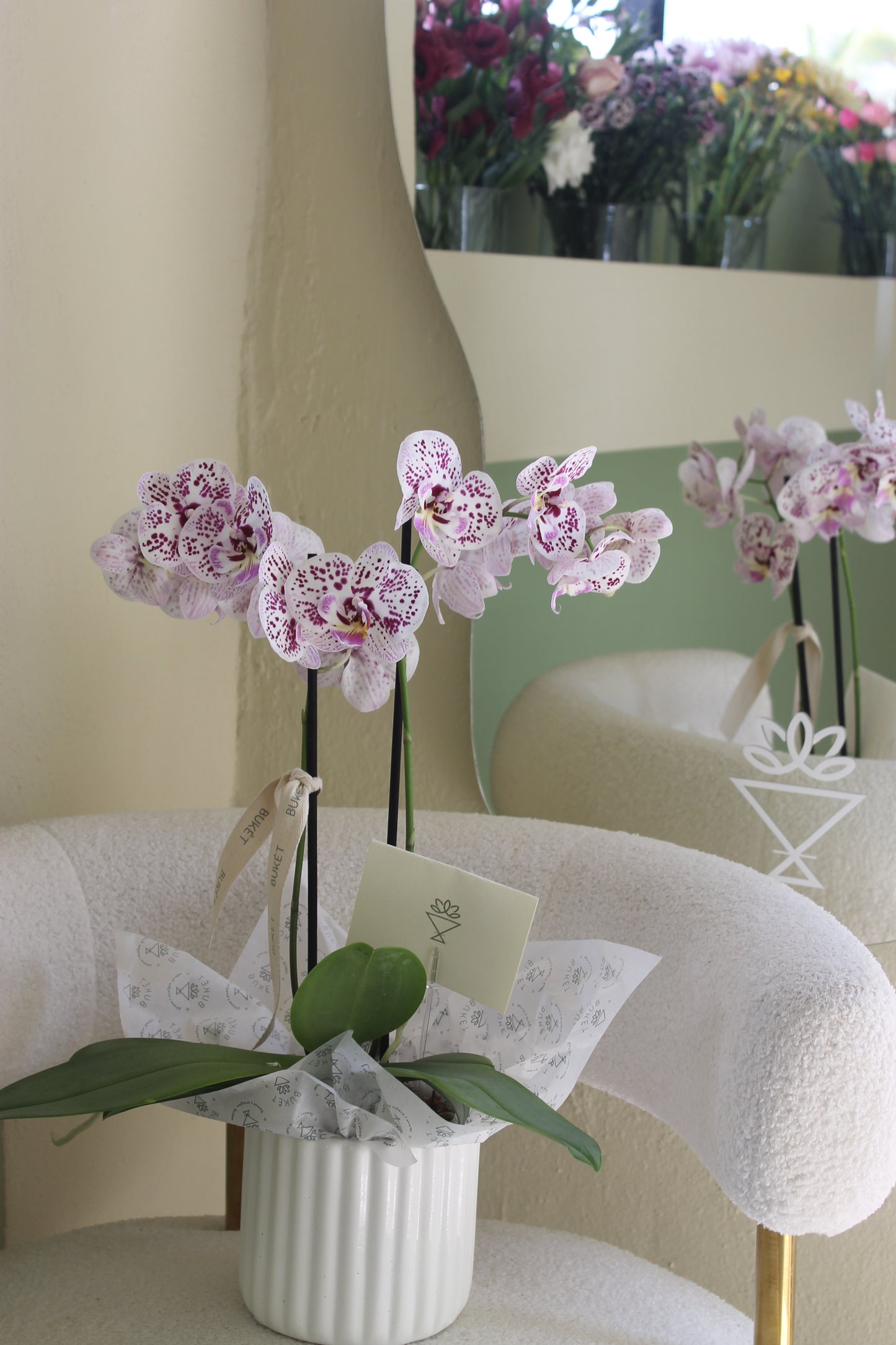 Orquídea individual